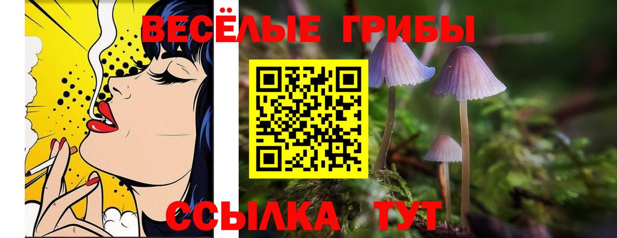 Галлюциногенные грибы Cubensis Нефтекумск