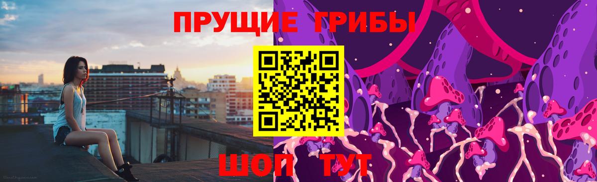 Псилоцибиновые грибы MAGIC MUSHROOMS  Вход с VPN  Нефтекумск 